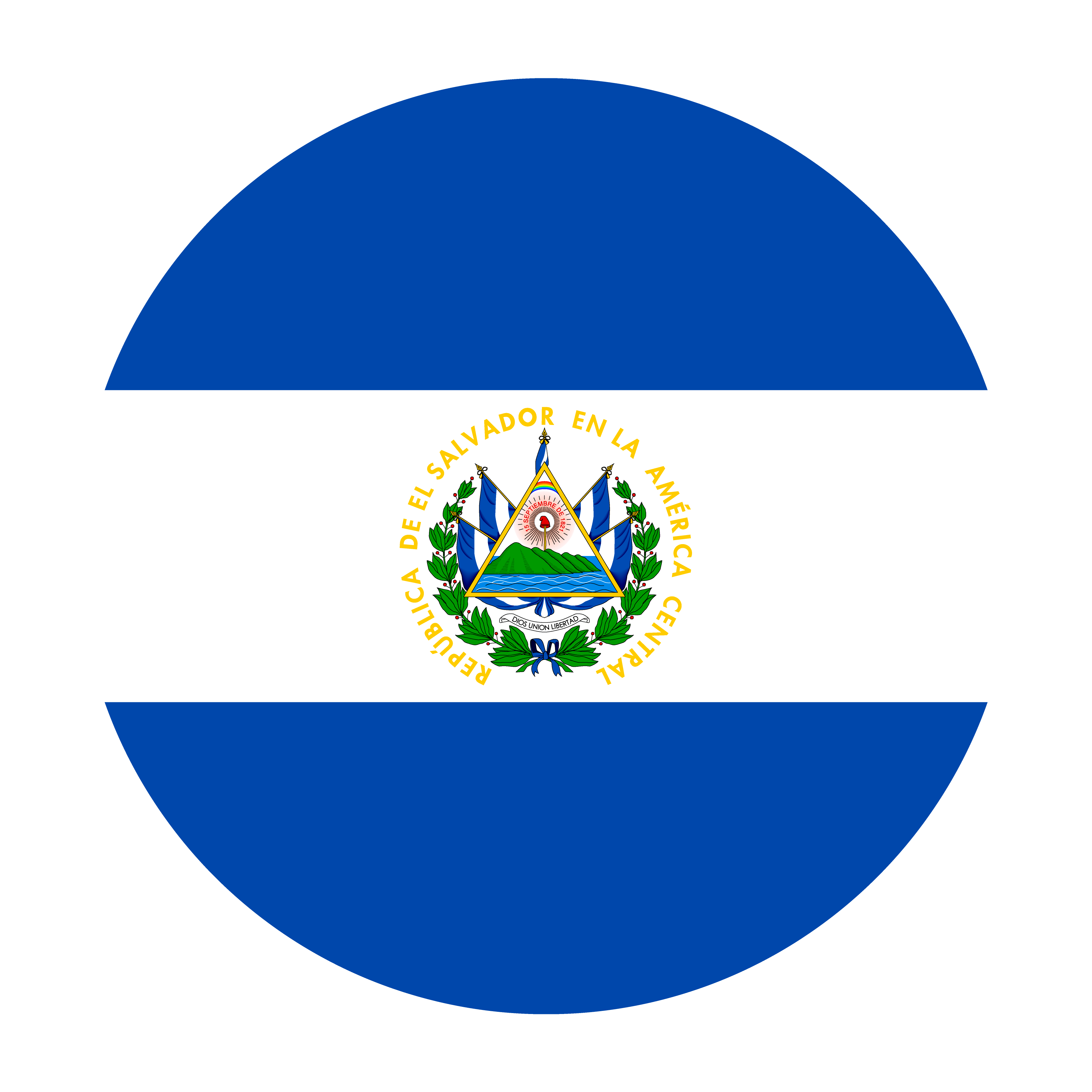 Bandera SLV